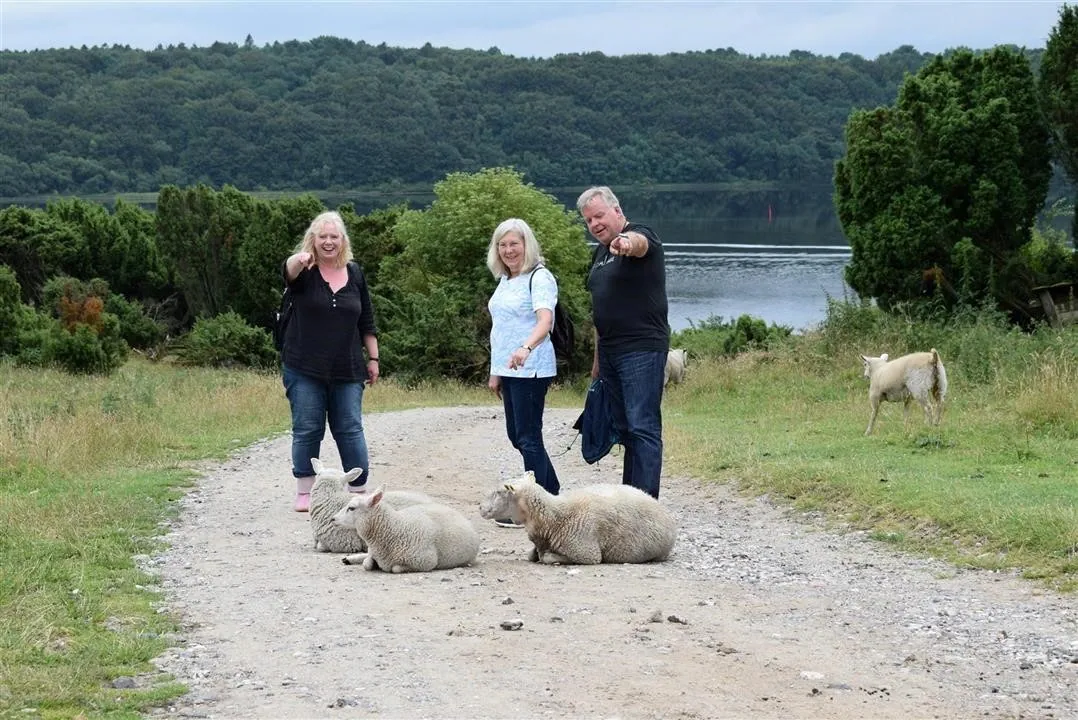 Assens and the North of Denmark 2017